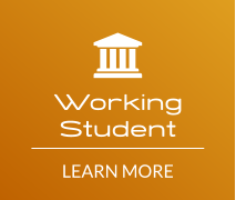 Working Student LEARN MORE 